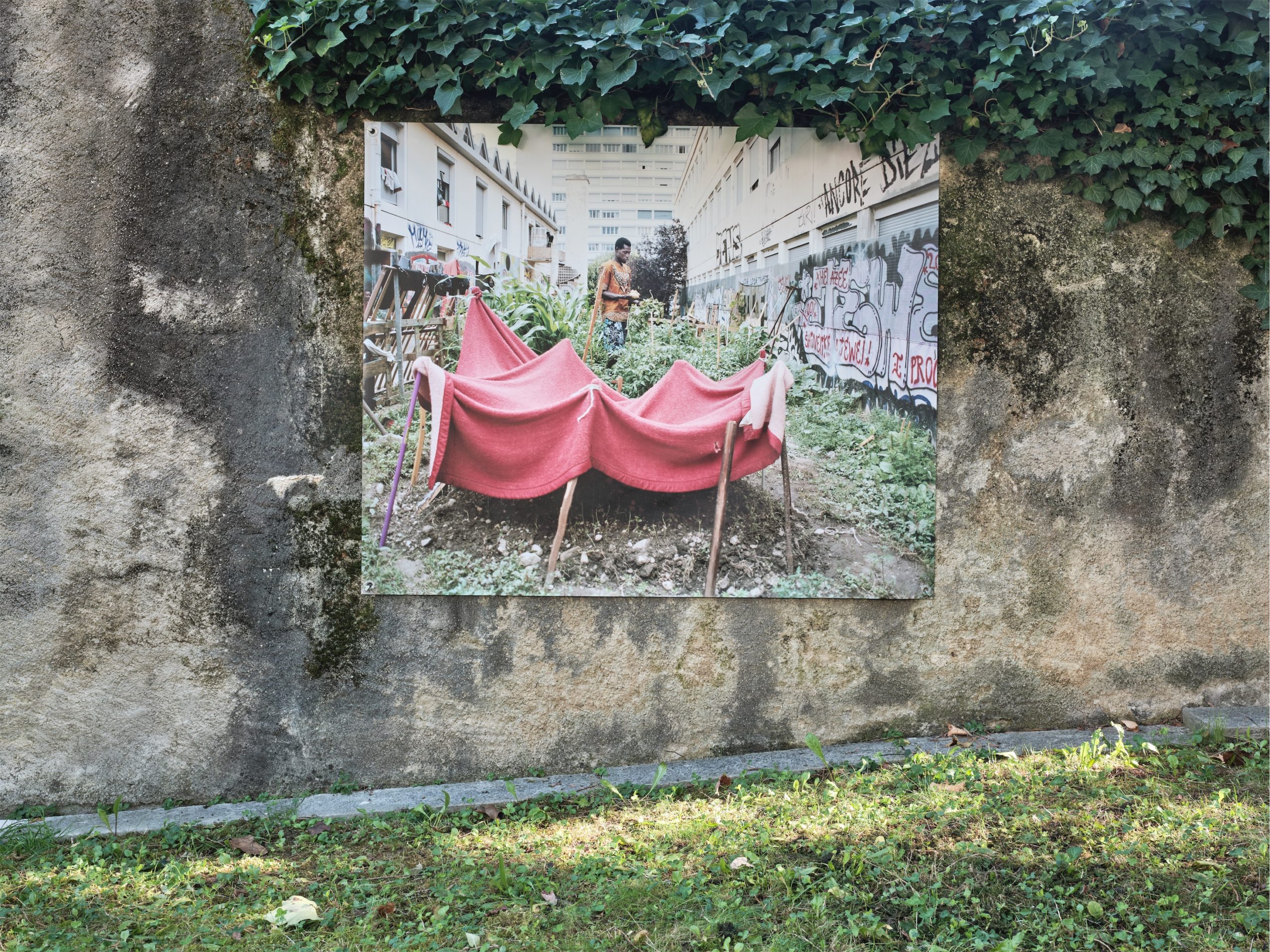 Photographie d'Elisa Larvego, "Alpha dans son potager, squat Maurice-Scève, Lyon", vue de l'exposition "En tous lieux" à la Ferme de la Chapelle