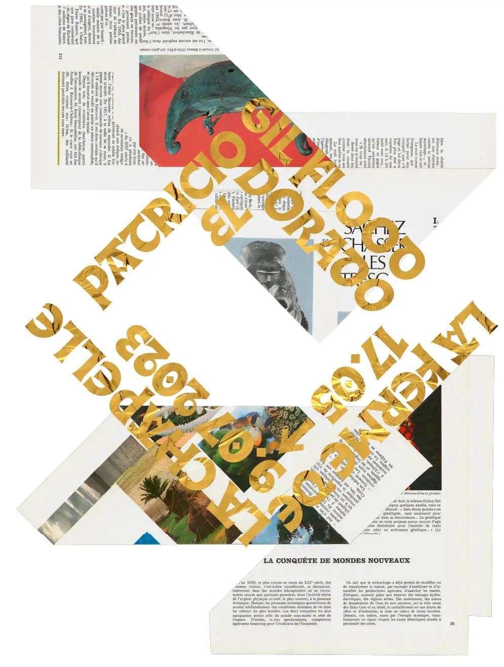 Poster for Patricio Gil Flood’s's exhibition at Ferme de la Chapelle.